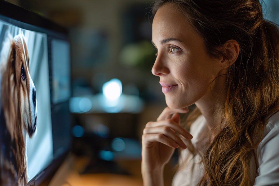 Educate - I take time to understand your pet’s full history and empower you with knowledge about natural nutrition, homemade dog food, and species-appropriate diets.